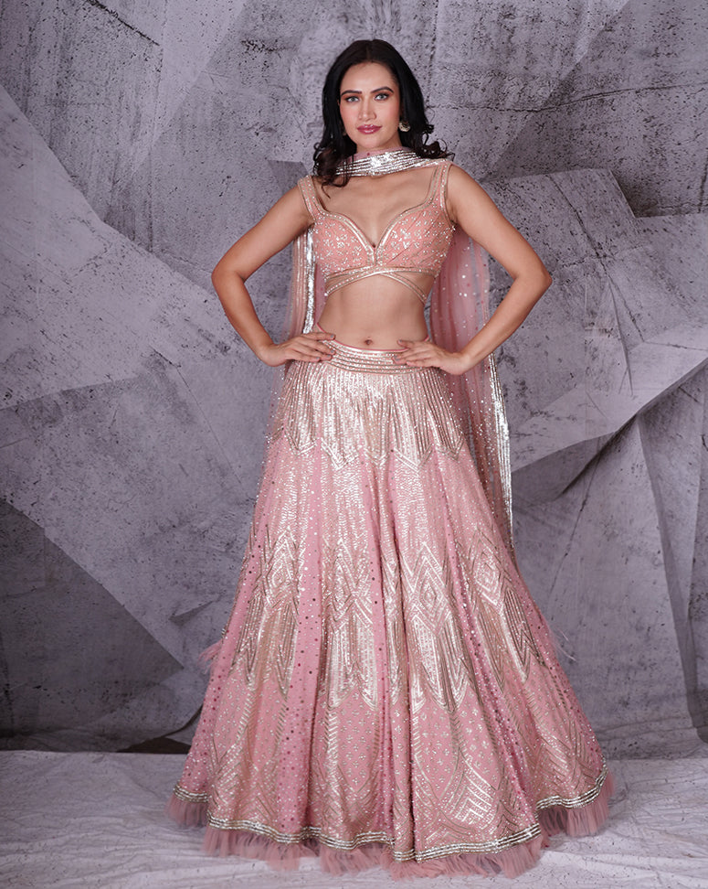 The Spree Pink Lehenga