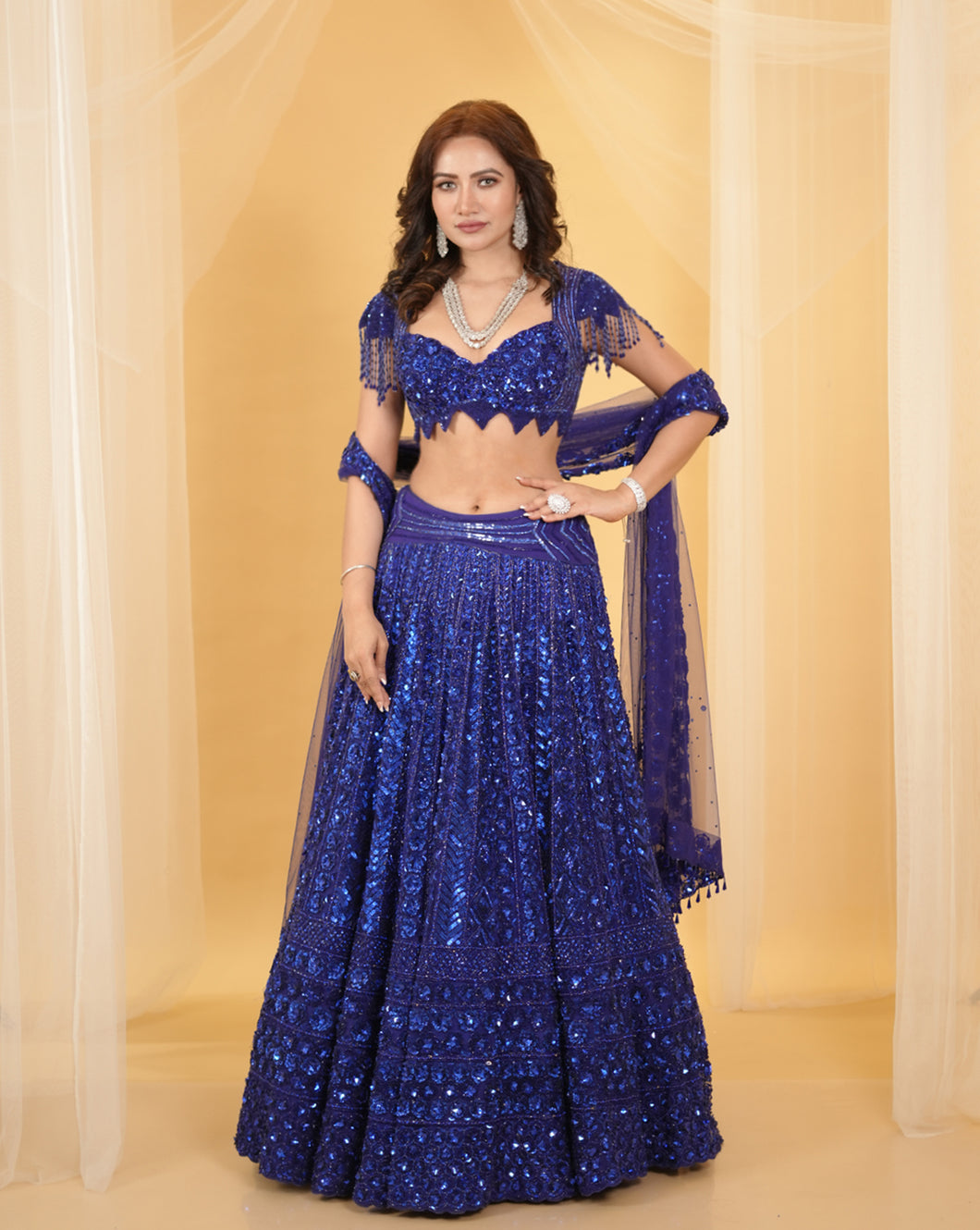 Embroidered Royal Blue Lehenga