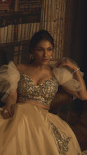 Load and play video in Gallery viewer, The Subtle Beige Lehenga
